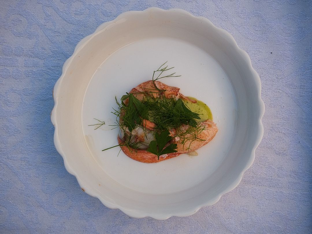Kreeft met verveine mayonaise