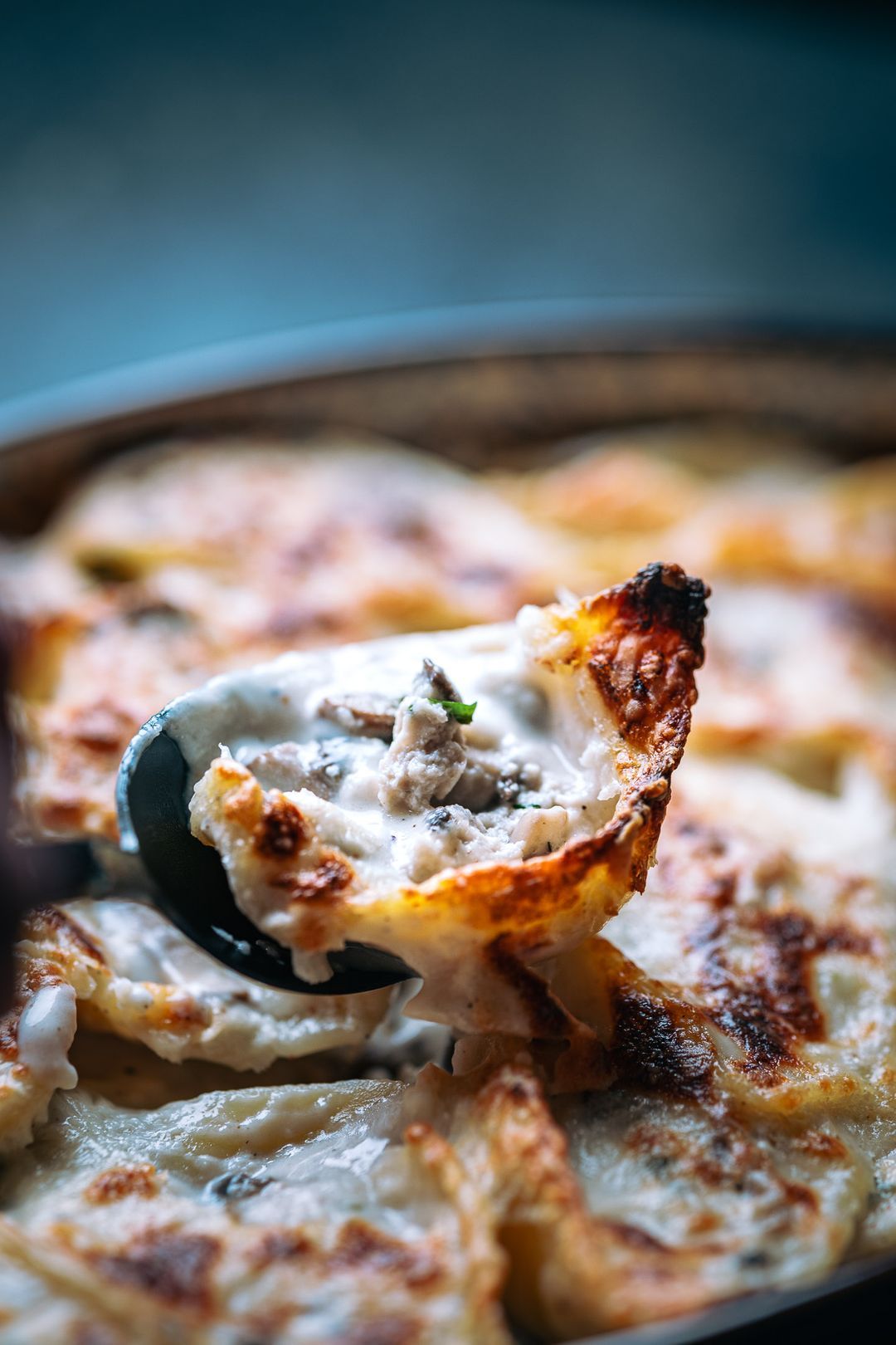 Ovenschotel van gevulde conchiglioni: snel, simpel & overheerlijk 🤤