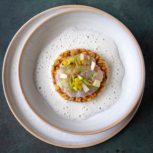 Risotto met gerookte paling, dikke langoustine carpaccio en parmezaanemulsie
