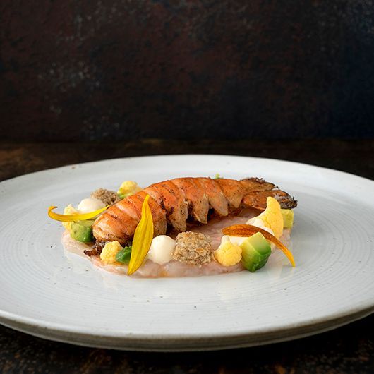 Duo van langoustines: in tartaar en gebakken in citrusboter